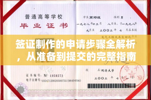 魏县签证制作的申请步骤全解析，从准备到提交的完整指南