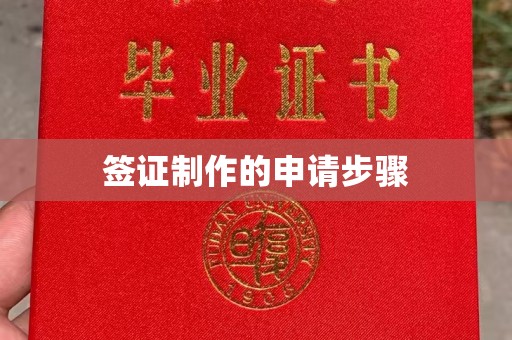 魏县签证制作的申请步骤