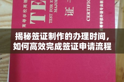 魏县揭秘签证制作的办理时间，如何高效完成签证申请流程